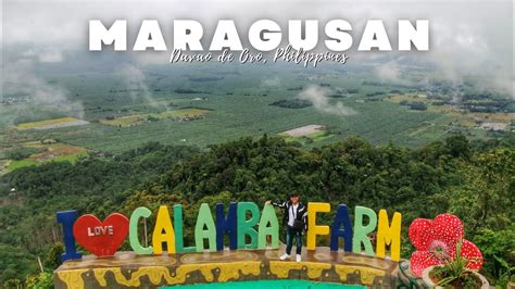 calamba farm sea of clouds|MARAGUSAN WEEKEND TRAVEL GUIDE: ATTRACTIONS TO VISIT .